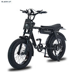 Fast Speed 20" Electric Bike E Bike 750w 48V Electric Bicycle Ebike 7 Speed Electric Mountain Bike