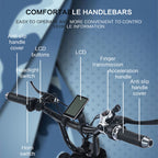 Fast Speed 20" Electric Bike E Bike 750w 48V Electric Bicycle Ebike 7 Speed Electric Mountain Bike