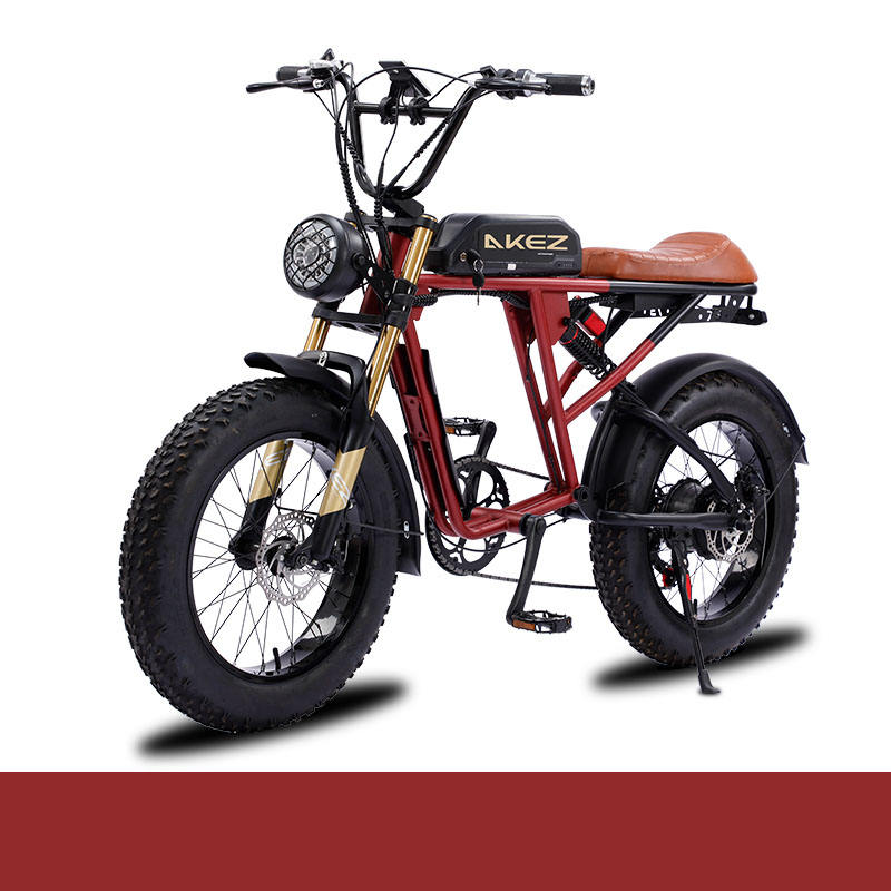 2025 New Mountain Electric Bike Canada US Market 48V Motor Electric Bike