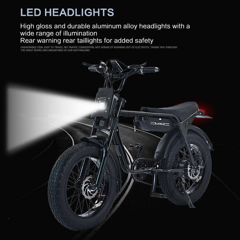 Fast Speed 20" Electric Bike E Bike 750w 48V Electric Bicycle Ebike 7 Speed Electric Mountain Bike