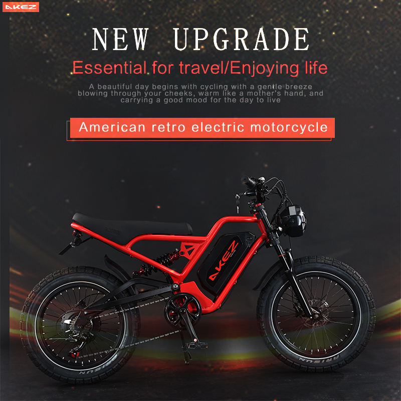 2025 Hot Sale 52V 25AH Electric Bike With 20 Inch Fat Tire Down Tube Rear Hub Motor for Commuting