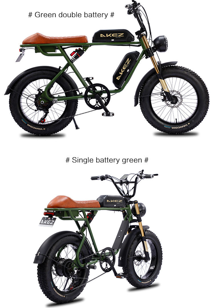 750W 48V Lithium-Powered FAT Tire Electric Bike 20-Inch City Ebike With 7-Speed Gears and Dual Battery Steel Frame