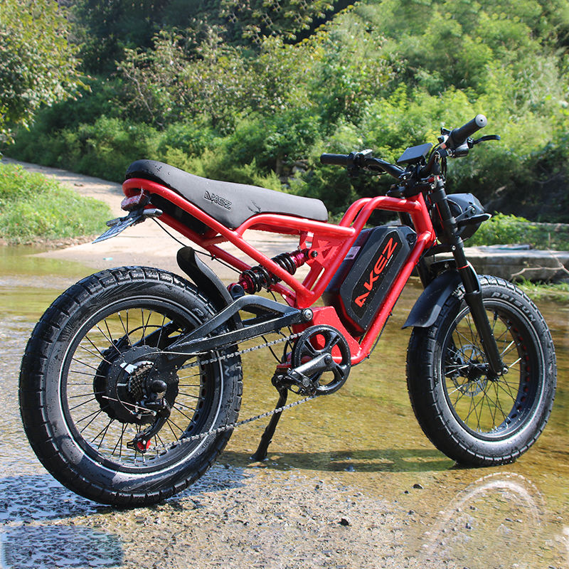 2025 Hot Sale 52V 25AH Electric Bike With 20 Inch Fat Tire Down Tube Rear Hub Motor for Commuting