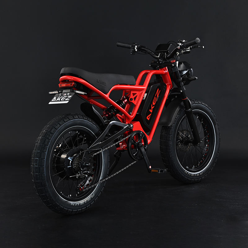 2025 Hot Sale 52V 25AH Electric Bike With 20 Inch Fat Tire Down Tube Rear Hub Motor for Commuting