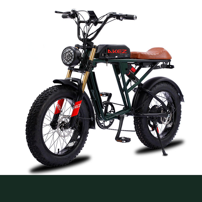2025 New Mountain Electric Bike Canada US Market 48V Motor Electric Bike