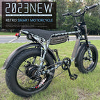 Fast Speed 20" Electric Bike E Bike 750w 48V Electric Bicycle Ebike 7 Speed Electric Mountain Bike