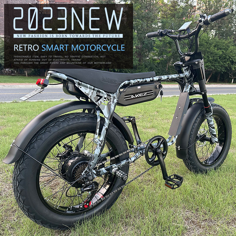 Fast Speed 20" Electric Bike E Bike 750w 48V Electric Bicycle Ebike 7 Speed Electric Mountain Bike