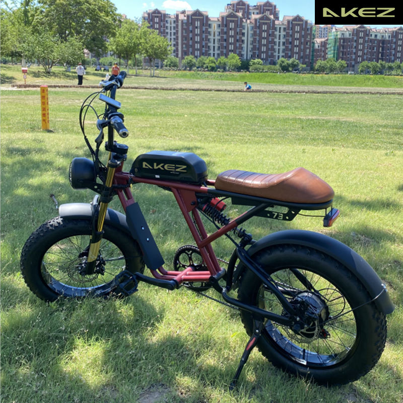 2025 New Mountain Electric Bike Canada US Market 48V Motor Electric Bike