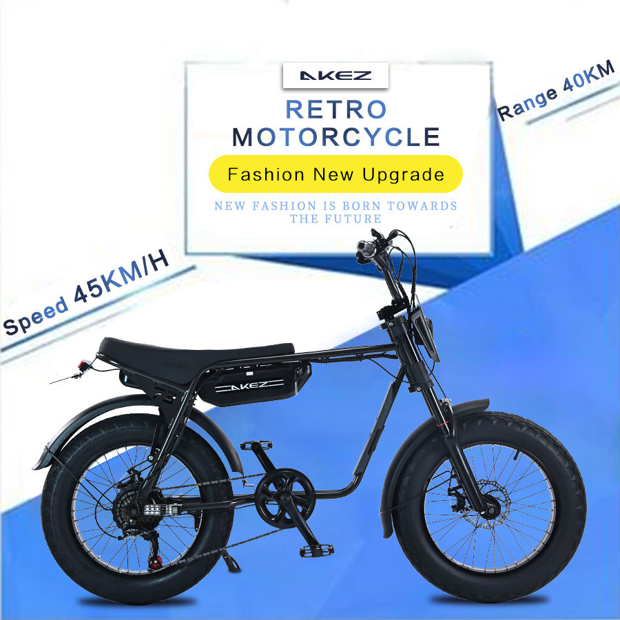 Fast Speed 20" Electric Bike E Bike 750w 48V Electric Bicycle Ebike 7 Speed Electric Mountain Bike