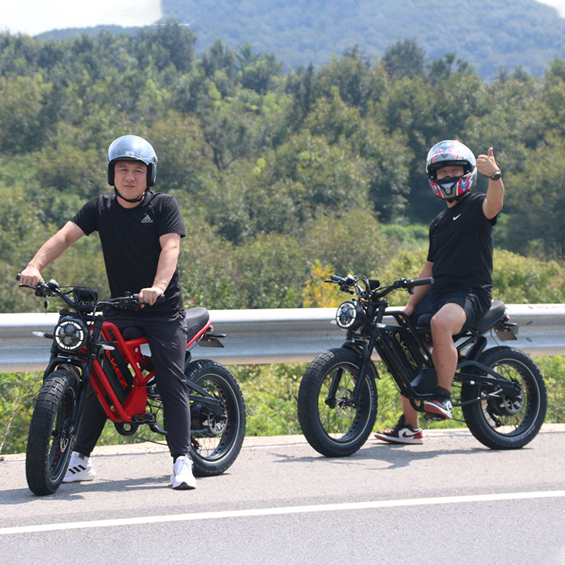 2025 Hot Sale 52V 25AH Electric Bike With 20 Inch Fat Tire Down Tube Rear Hub Motor for Commuting