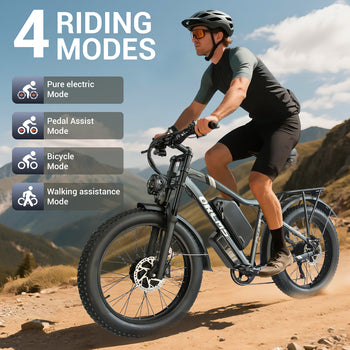 2000W Dual Motors 52V Fat Tire Electric Bike 25Ah Battery Hydraulic Brakes Aluminum Frame Long Range Fat Bike