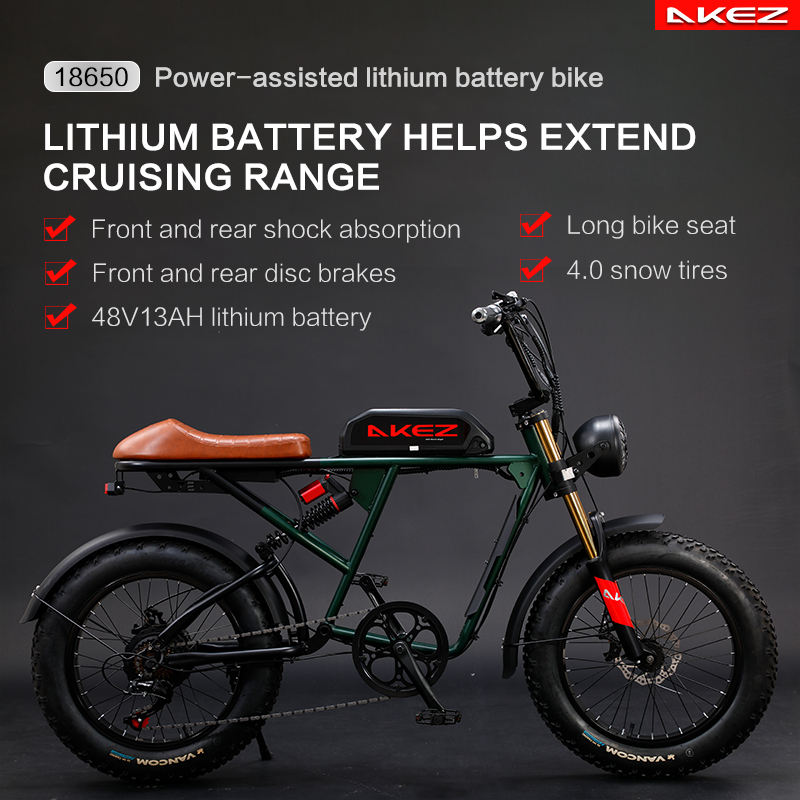 2025 New Mountain Electric Bike Canada US Market 48V Motor Electric Bike