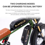 750W 48V Lithium-Powered FAT Tire Electric Bike 20-Inch City Ebike With 7-Speed Gears and Dual Battery Steel Frame