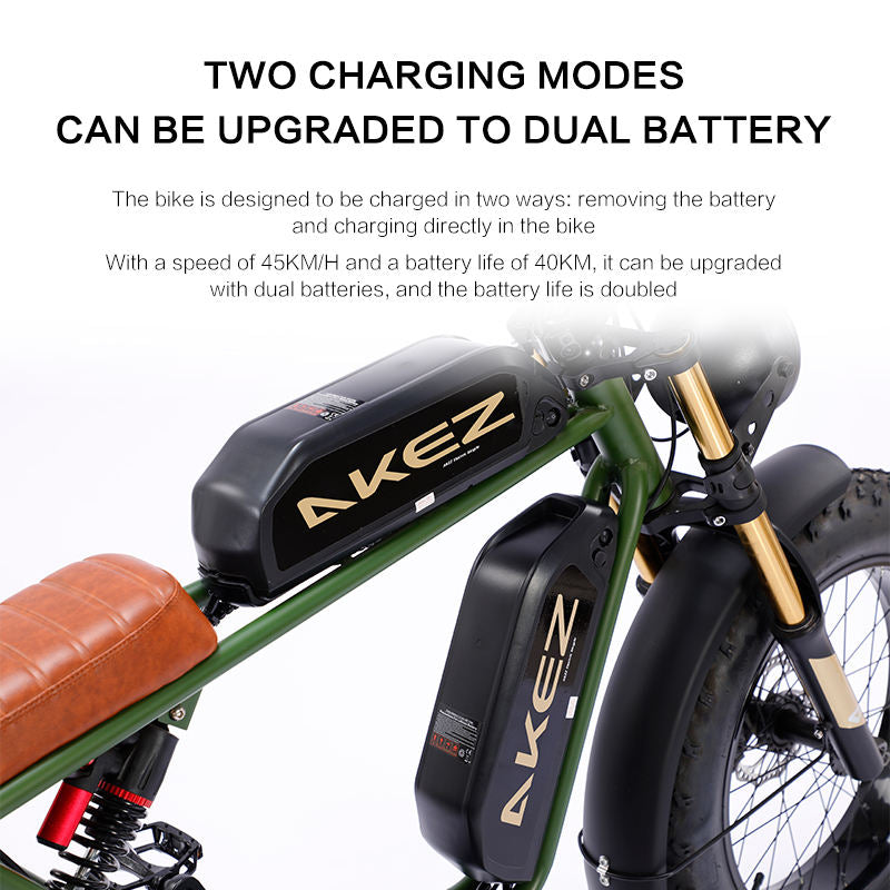 750W 48V Lithium-Powered FAT Tire Electric Bike 20-Inch City Ebike With 7-Speed Gears and Dual Battery Steel Frame