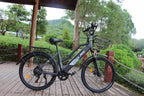 Hot Sale 500W 48V City Electric Bike 7 Speed Variable Speed Electric Bike Women Retro Commuting City Ebike