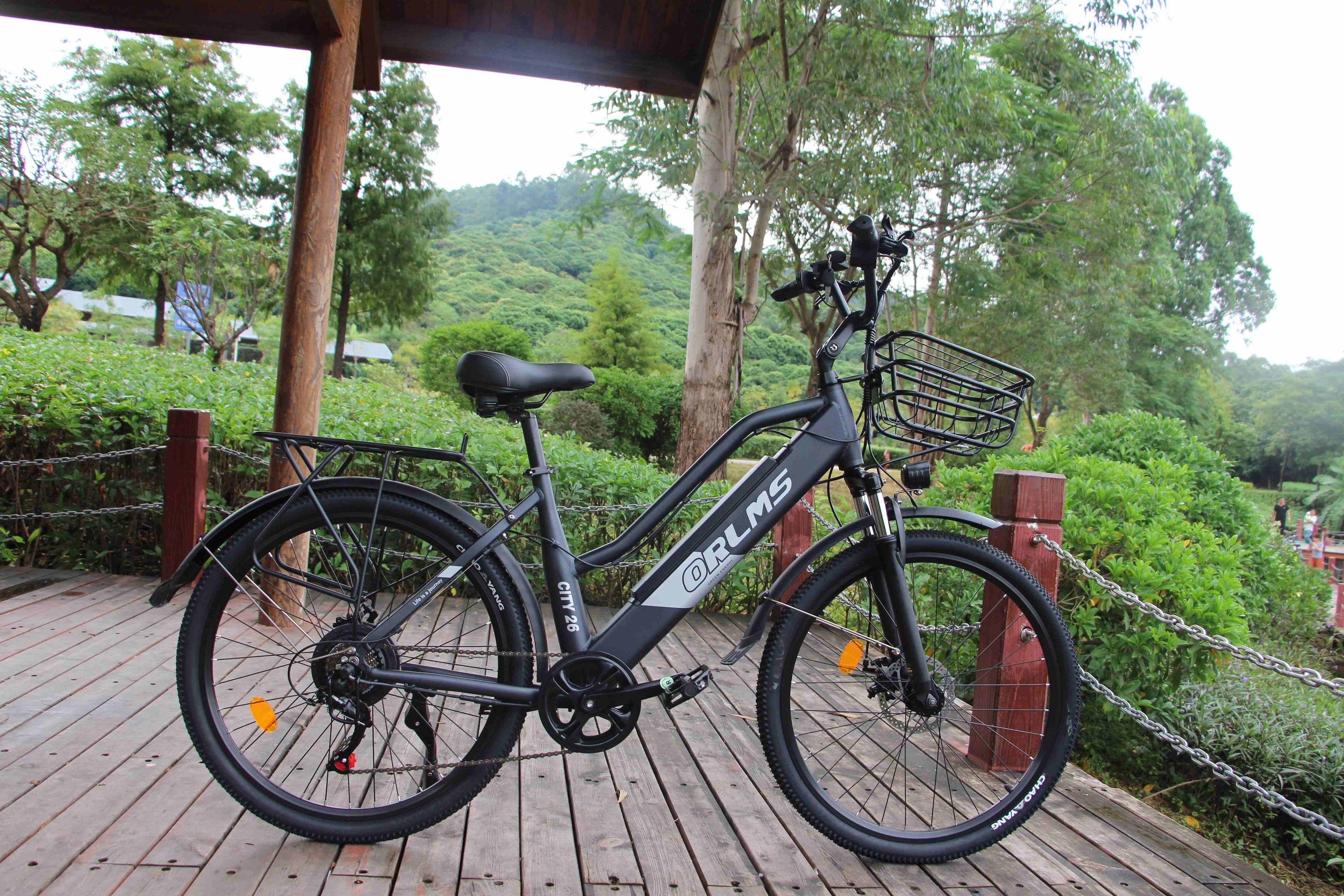 Hot Sale 500W 48V City Electric Bike 7 Speed Variable Speed Electric Bike Women Retro Commuting City Ebike