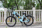 Hot Sale 500W 48V City Electric Bike 7 Speed Variable Speed Electric Bike Women Retro Commuting City Ebike