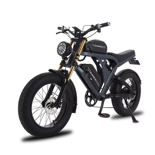 2025 Hot Sale 48V 41AH Electric Bike E Bike Electric Motorcycle Bicycle With 20 Inch Fat Tire
