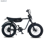 Fast Speed 20" Electric Bike E Bike 750w 48V Electric Bicycle Ebike 7 Speed Electric Mountain Bike