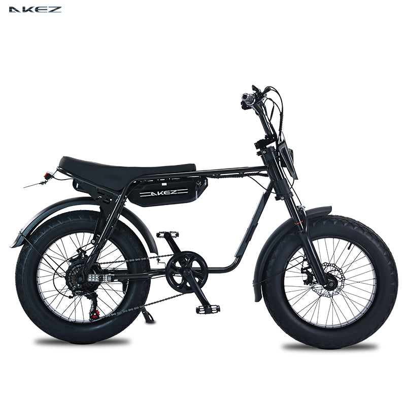 Fast Speed 20" Electric Bike E Bike 750w 48V Electric Bicycle Ebike 7 Speed Electric Mountain Bike