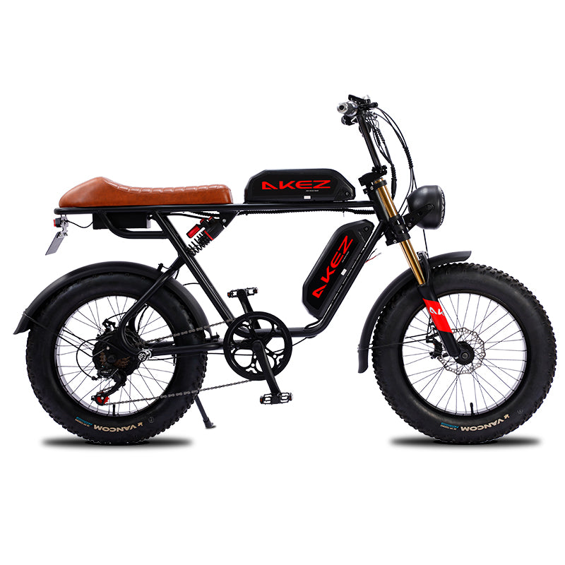 750W 48V Lithium-Powered FAT Tire Electric Bike 20-Inch City Ebike With 7-Speed Gears and Dual Battery Steel Frame