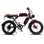 750W 48V Lithium-Powered FAT Tire Electric Bike 20-Inch City Ebike With 7-Speed Gears and Dual Battery Steel Frame