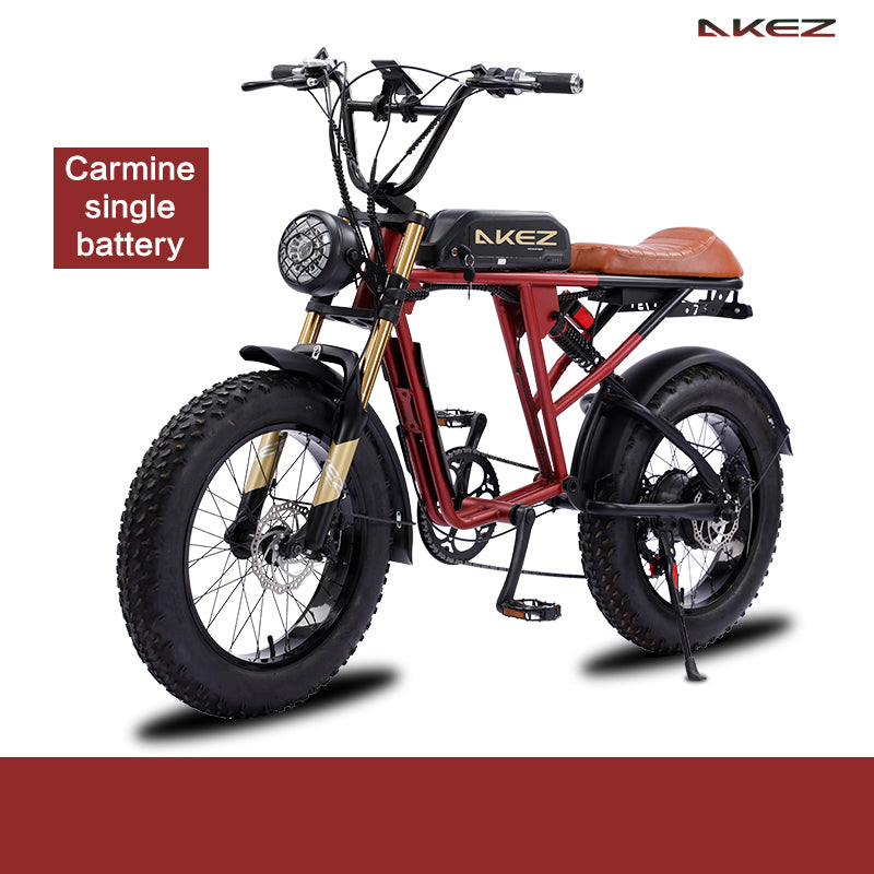 2025 New Mountain Electric Bike Canada US Market 48V Motor Electric Bike