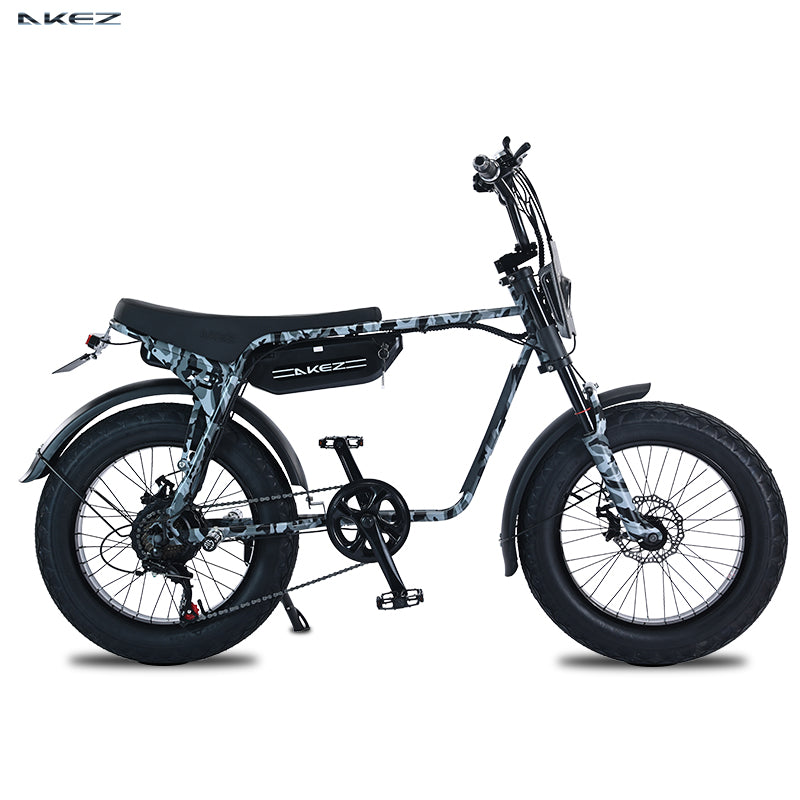 Fast Speed 20" Electric Bike E Bike 750w 48V Electric Bicycle Ebike 7 Speed Electric Mountain Bike