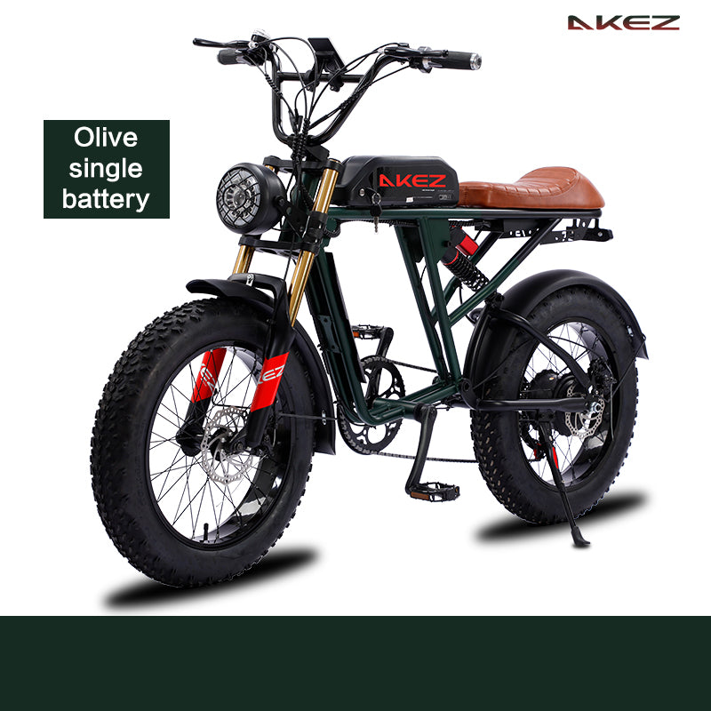 2025 New Mountain Electric Bike Canada US Market 48V Motor Electric Bike