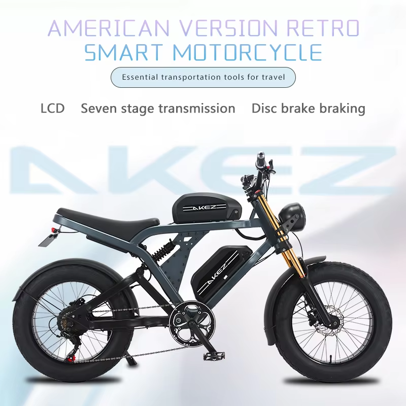 2025 Hot Sale 48V 41AH Electric Bike E Bike Electric Motorcycle Bicycle With 20 Inch Fat Tire