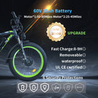 Daul Motor 2000w Ebike Full Suspension Hydraulic Brake Fat Tire Electric Bicycle E-bike Electric Mountain Bike for Adults
