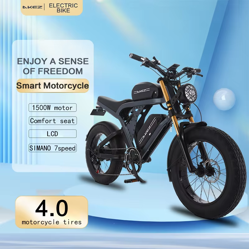 2025 Hot Sale 48V 41AH Electric Bike E Bike Electric Motorcycle Bicycle With 20 Inch Fat Tire