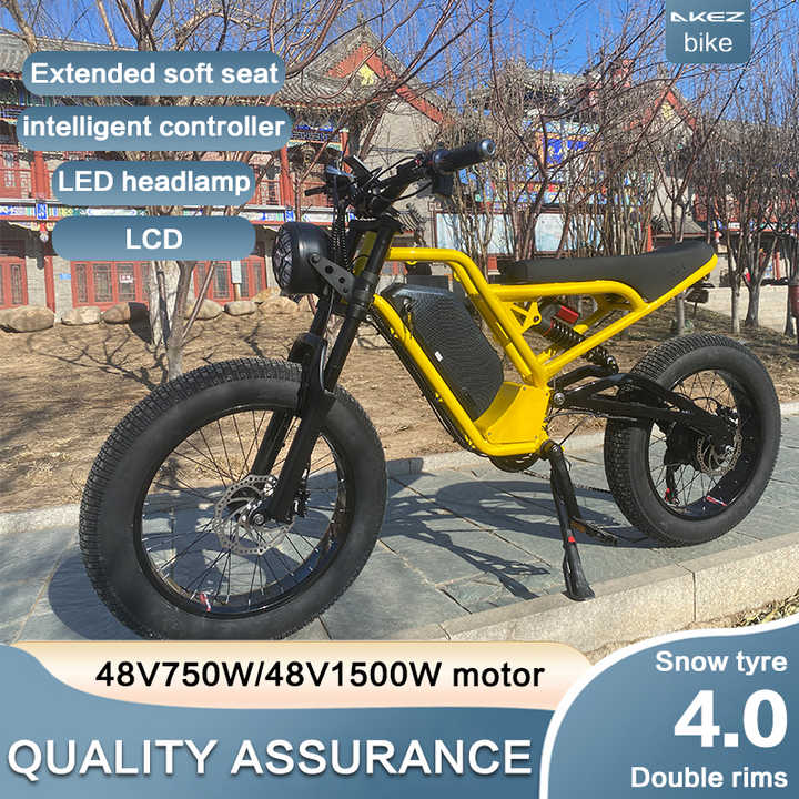2025 OEM 48V 750W Fat Model Mountain E-Bike Big Aluminum Frame Battery With 13Ah Lithium Power Supply