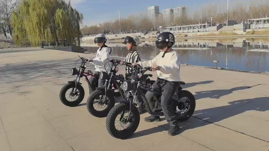 36V 350W 16 Inches Fat Tire Electric Motorcycle Designed for Children Child Motor Bike