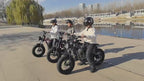 36V 350W 16 Inches Fat Tire Electric Motorcycle Designed for Children Child Motor Bike
