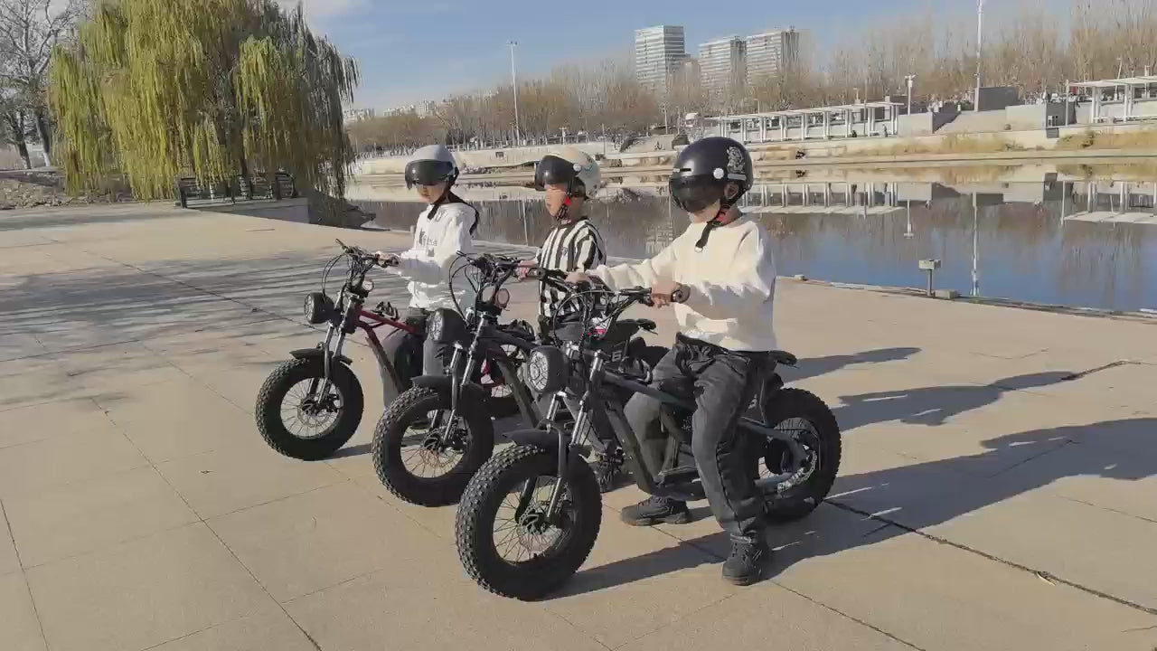 36V 350W 16 Inches Fat Tire Electric Motorcycle Designed for Children Child Motor Bike