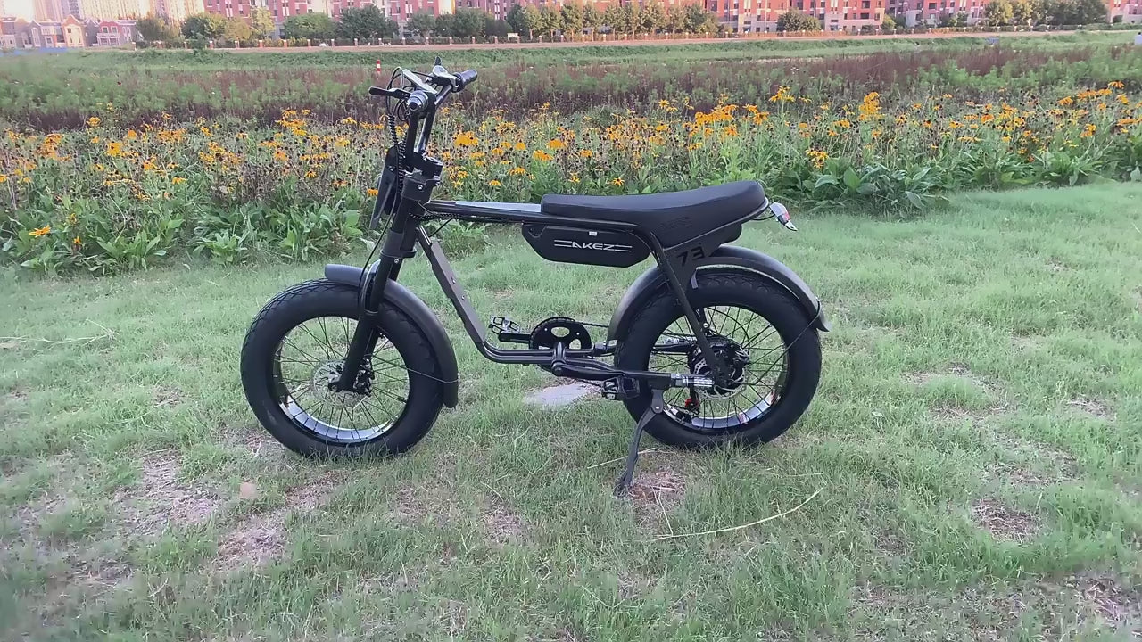 Fast Speed 20" Electric Bike E Bike 750w 48V Electric Bicycle Ebike 7 Speed Electric Mountain Bike